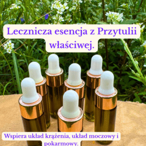 ESENCJA KWIATOWA - PRZYTULIA WŁAŚCIWA