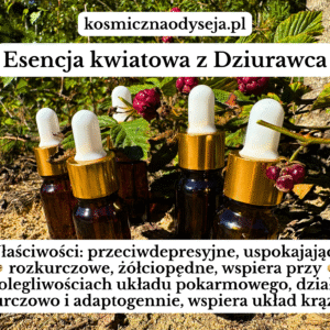 Esencja Kwiatowa